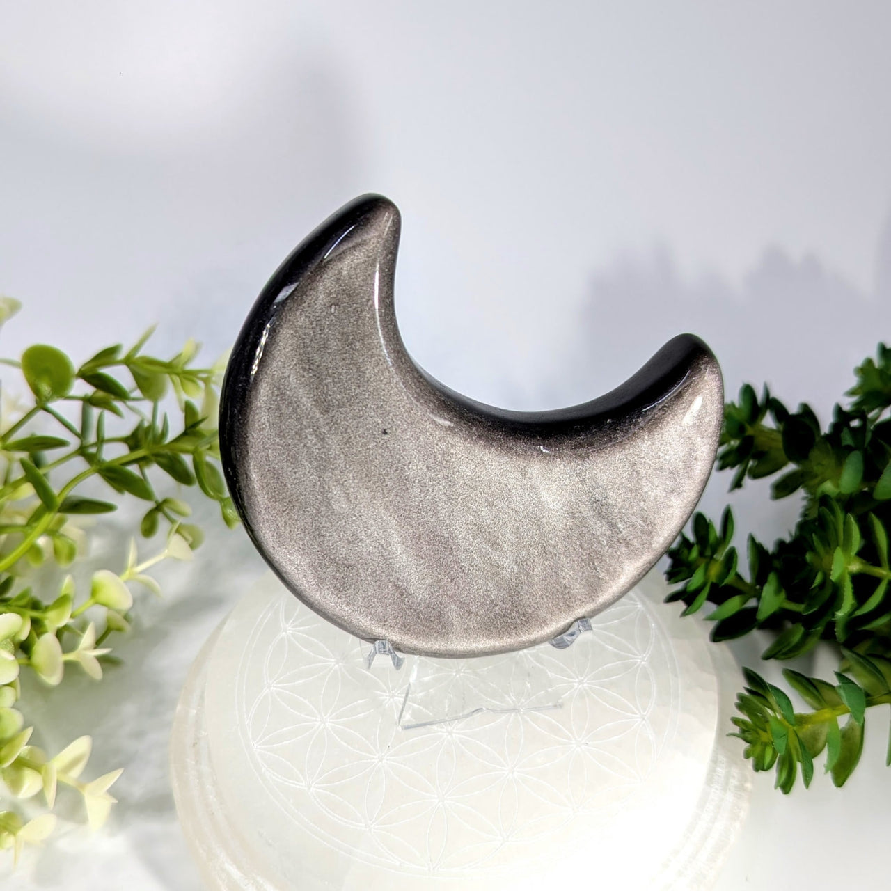 A polished silver crescent moon-shaped silversheen obsidian stone with a glossy metallic finish 3.5 inches