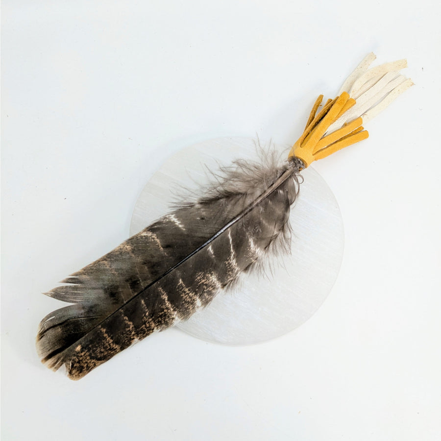 Striped brown feather with yellow tips on a smudge fan with leather tassel