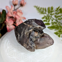 Smoky Amethyst 3’’ Elestial Enhydro #BC0724 dark purple raw crystal