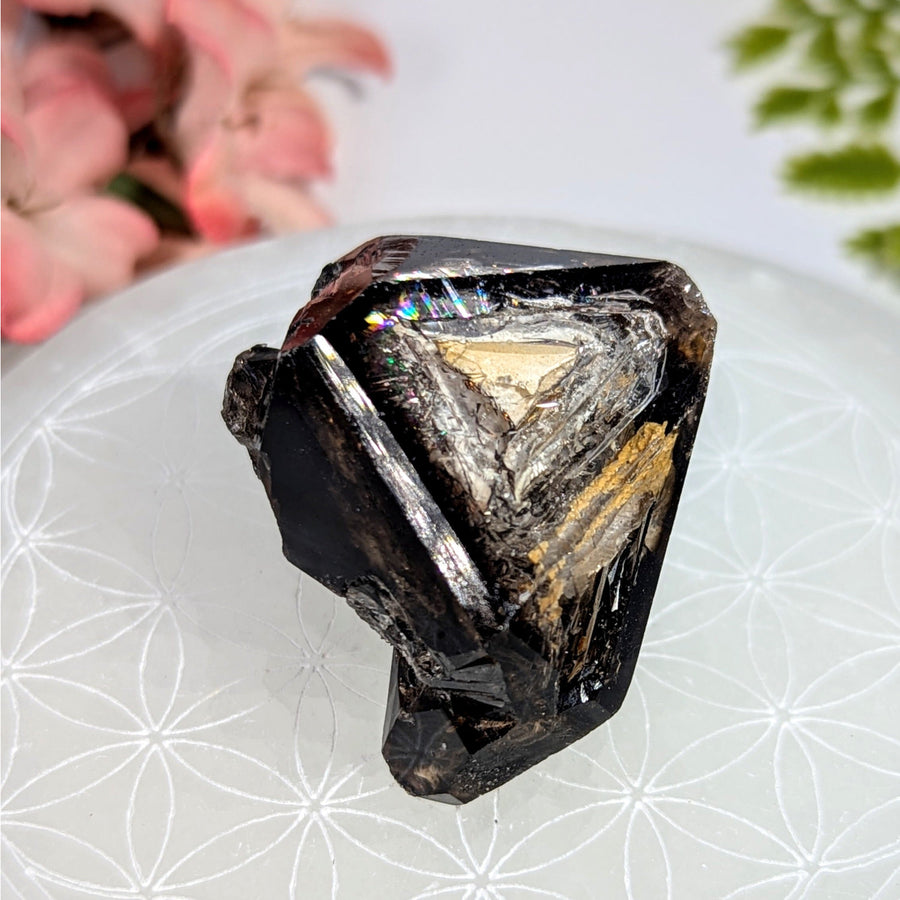 Smoky quartz 1.5’’ elestial skeletal point black crystal with silver gold inclusions #BC0725