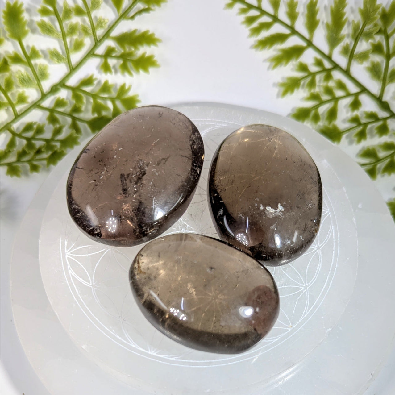 Three 1.75in smoky quartz palm stones #BC0886 with inclusions