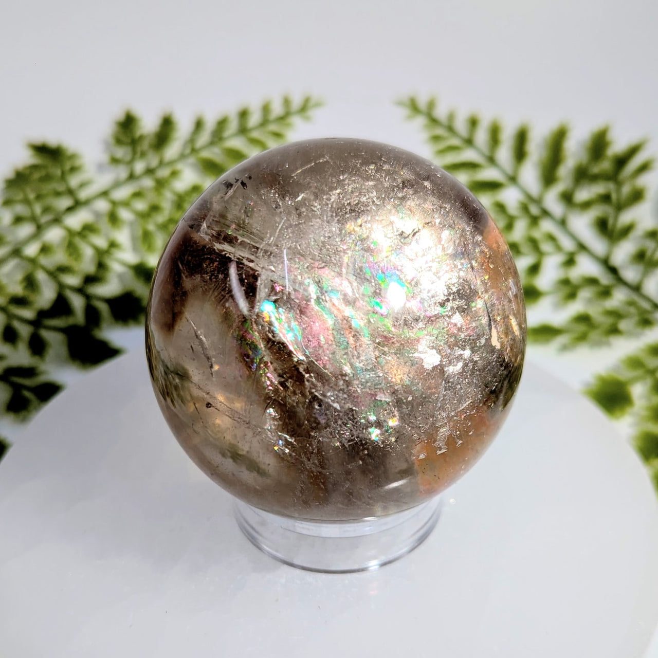 Smoky quartz 2.5 inch polished sphere BC1031 with iridescent inclusions