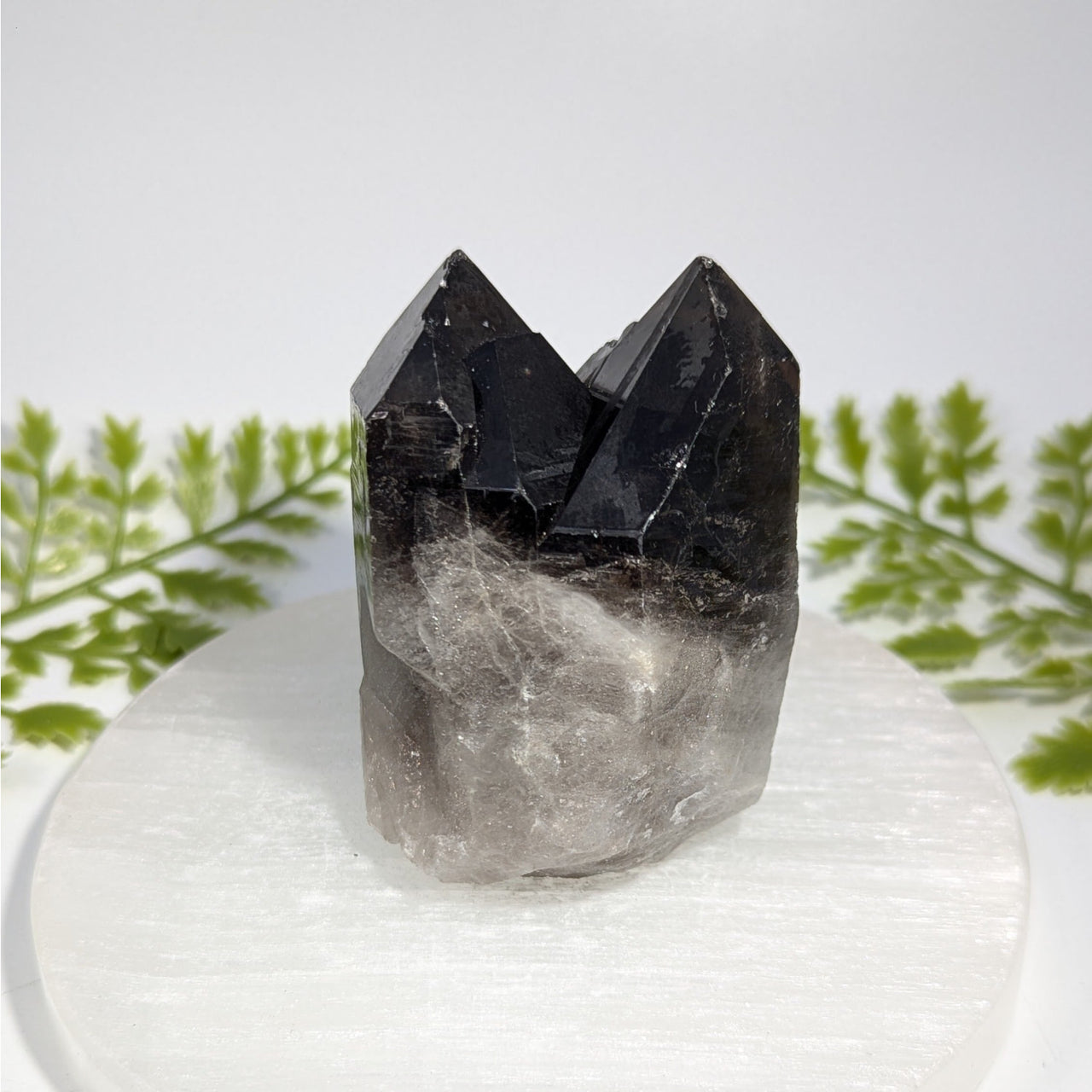 Smoky Quartz 2.7" Natural Twin Point #BC1491