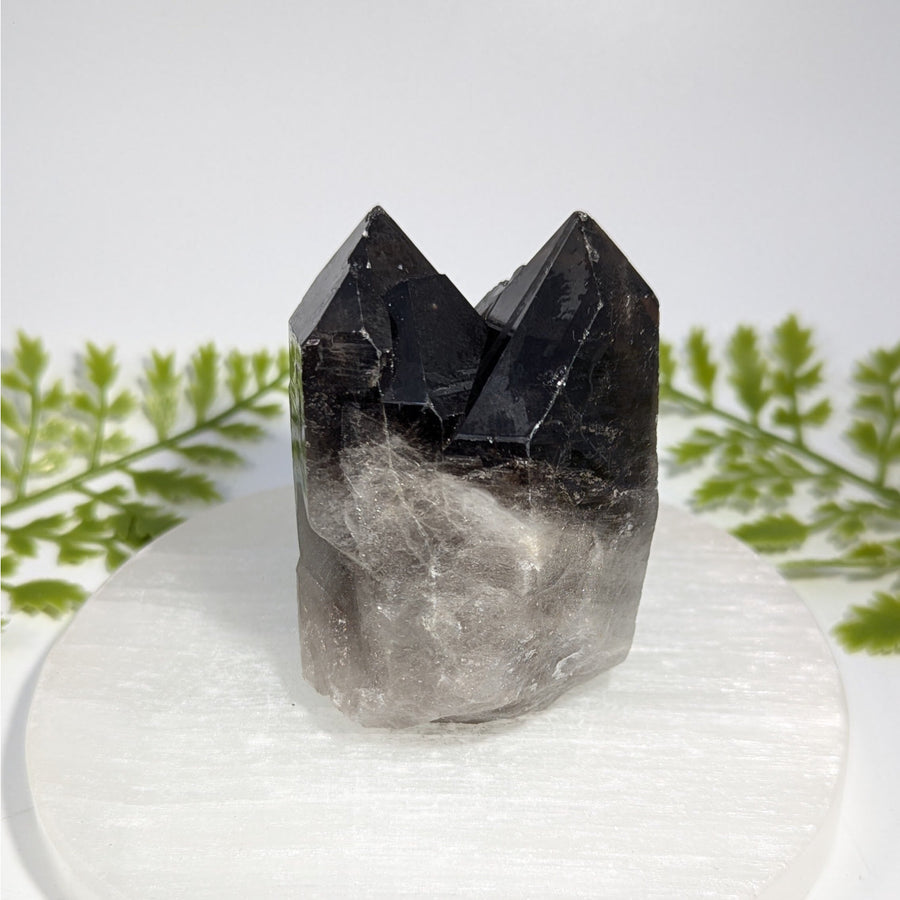 Smoky Quartz 2.7" Natural Twin Point #BC1491