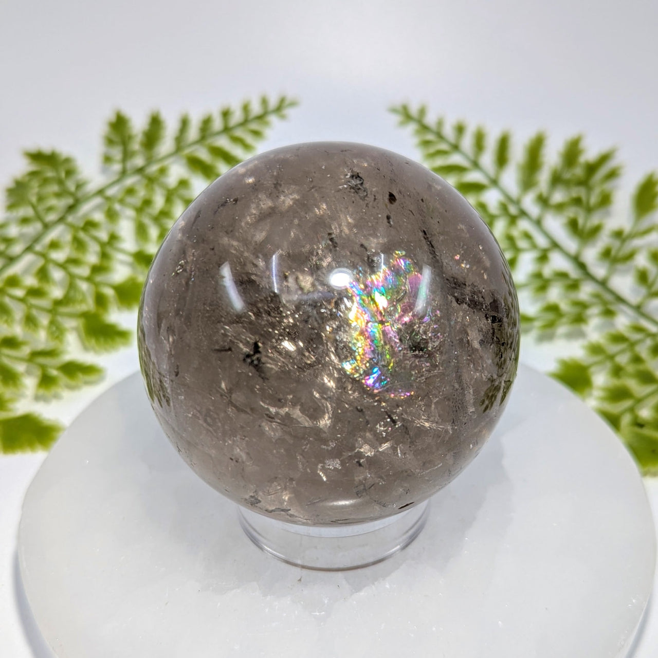 Polished 2.7in smoky quartz sphere BC1030 with rainbow sheen