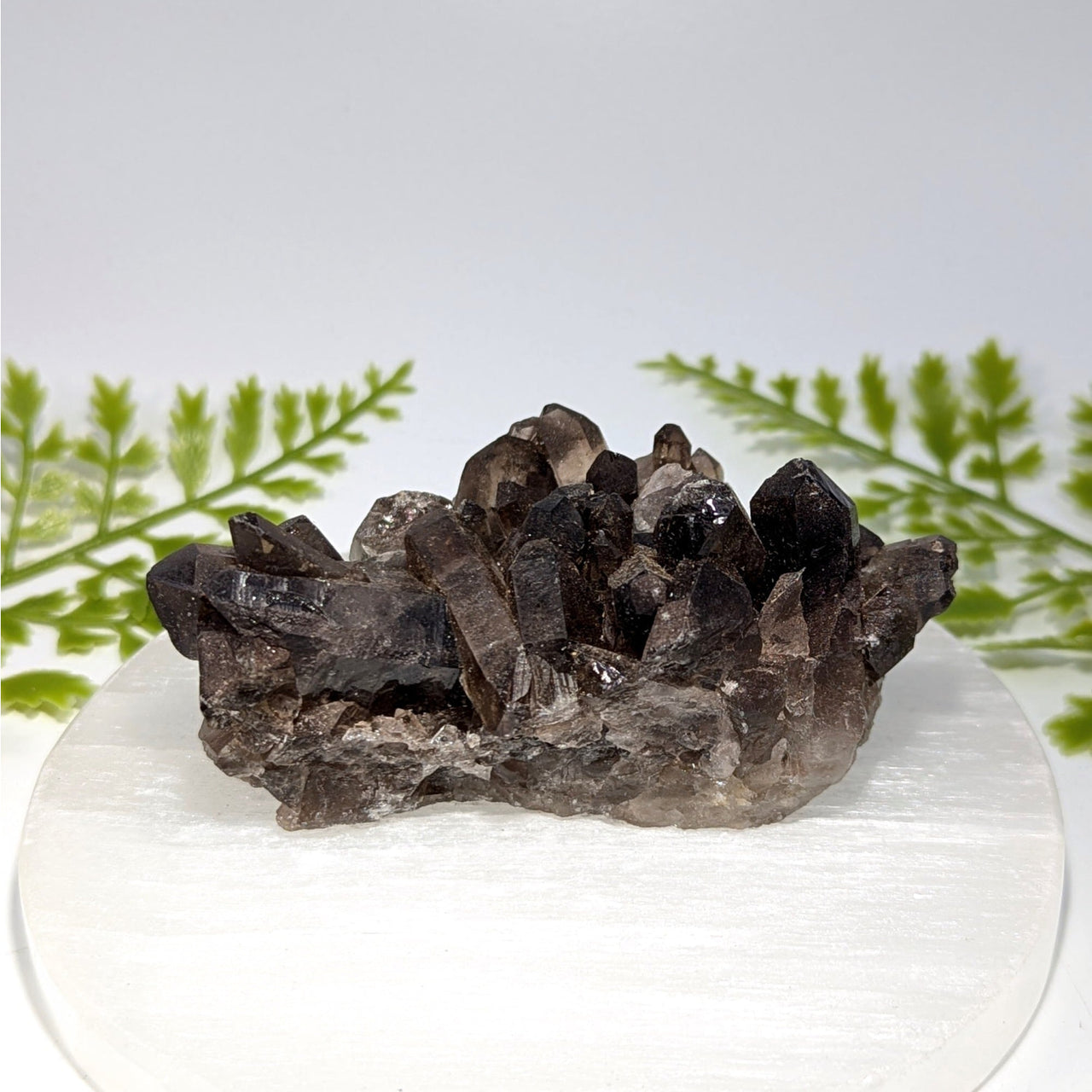 Smoky Quartz 3.5" Cluster #BC1494