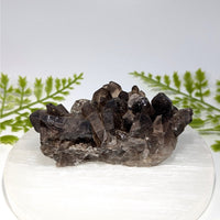 Smoky Quartz 3.5