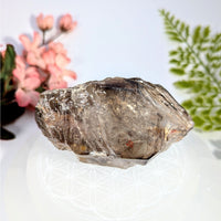 Smoky quartz 3.5’’ elestial enhydro crystal #BC0720 with inclusions