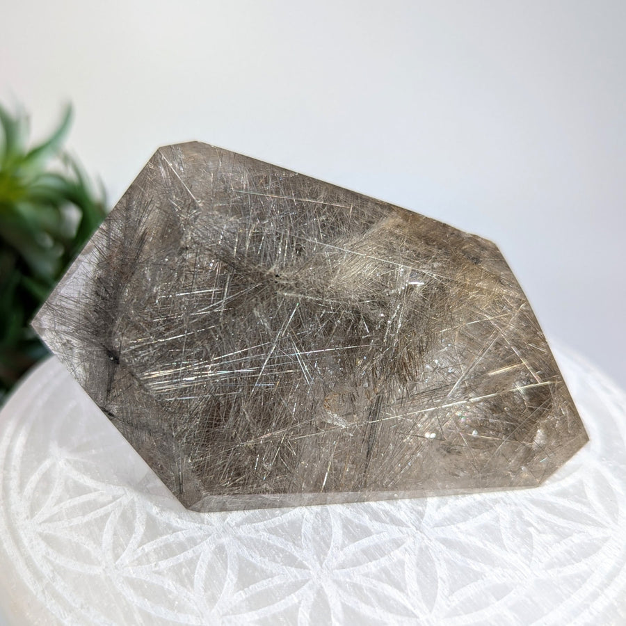 Rutilated Quartz crystal point from Smoky Quartz 3.5 inch DT Point product