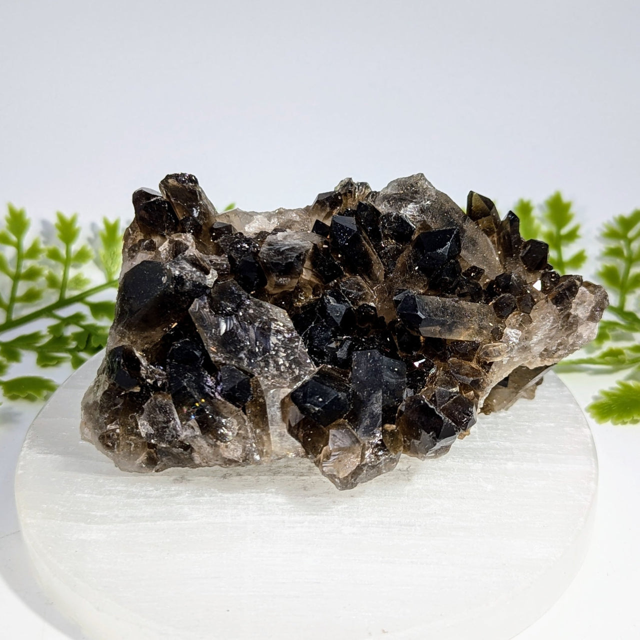 Smoky Quartz 4.4" Cluster #BC1493