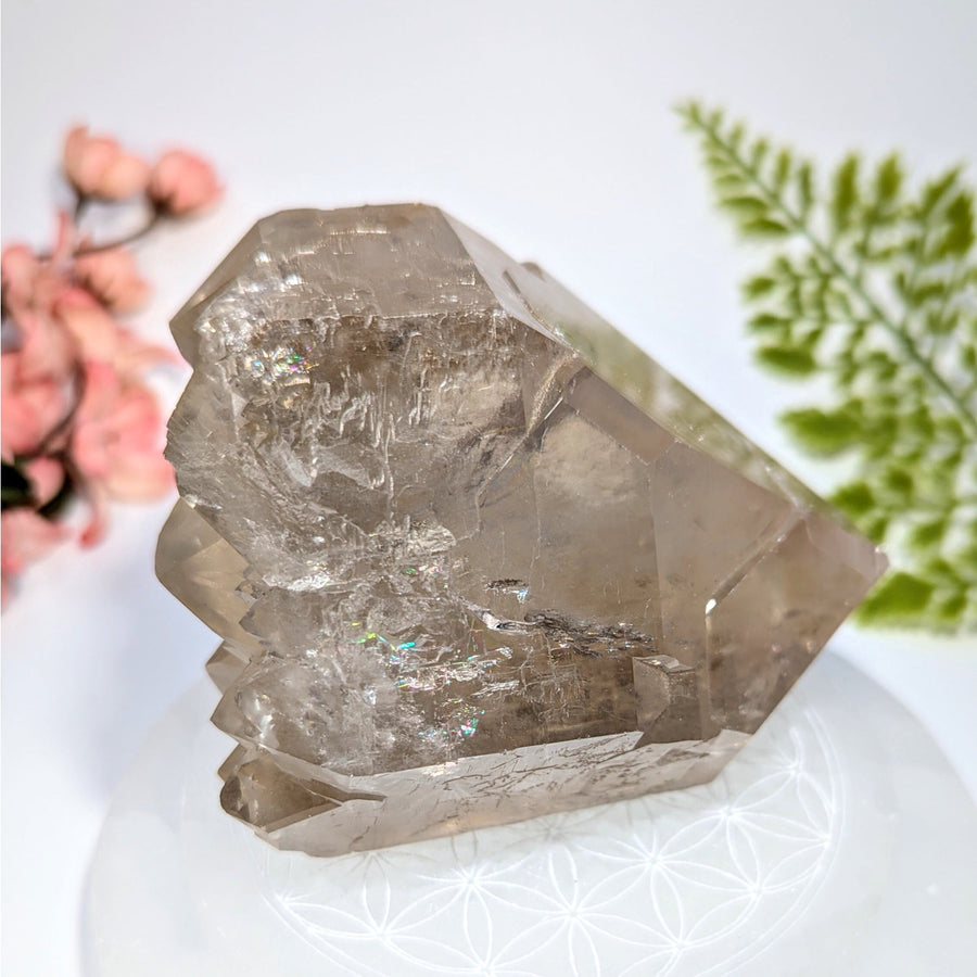 Smoky quartz 4-inch self-healed point #BC0726 with inclusions