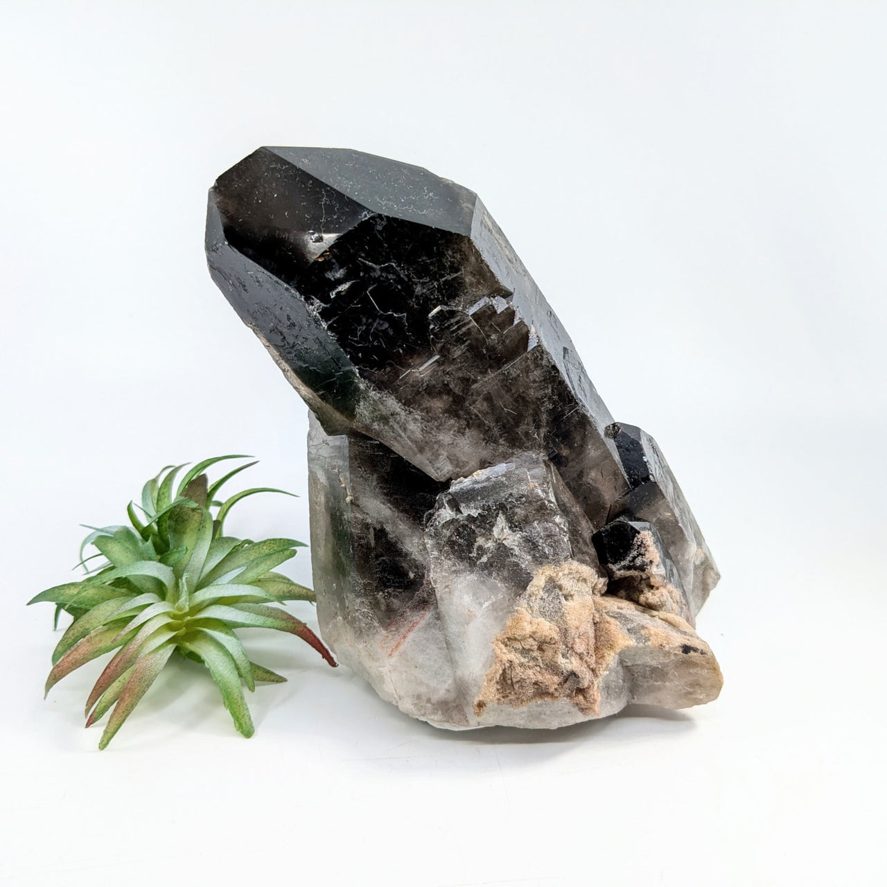 Smoky Quartz 5.6’’ Point Specimen #LV6831 - $175