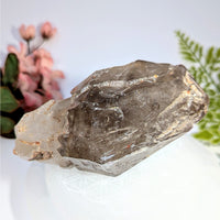 Smoky quartz 5’’ elestial enhydro #BC0721 with translucent striations