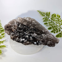 Smoky Quartz 7.2