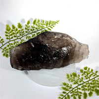 Smoky Quartz 7.2