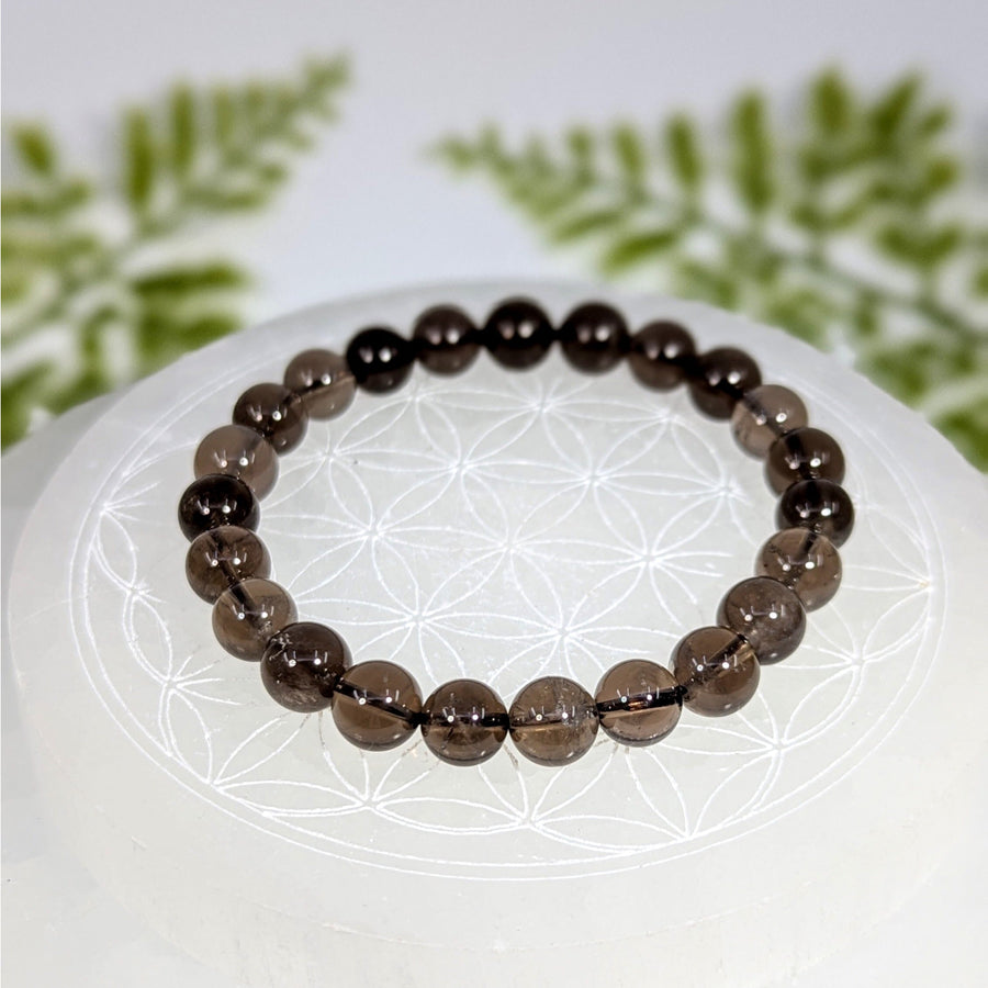 Smoky quartz 7-inch 8mm bead bracelet BC0935 with smooth translucent round beads
