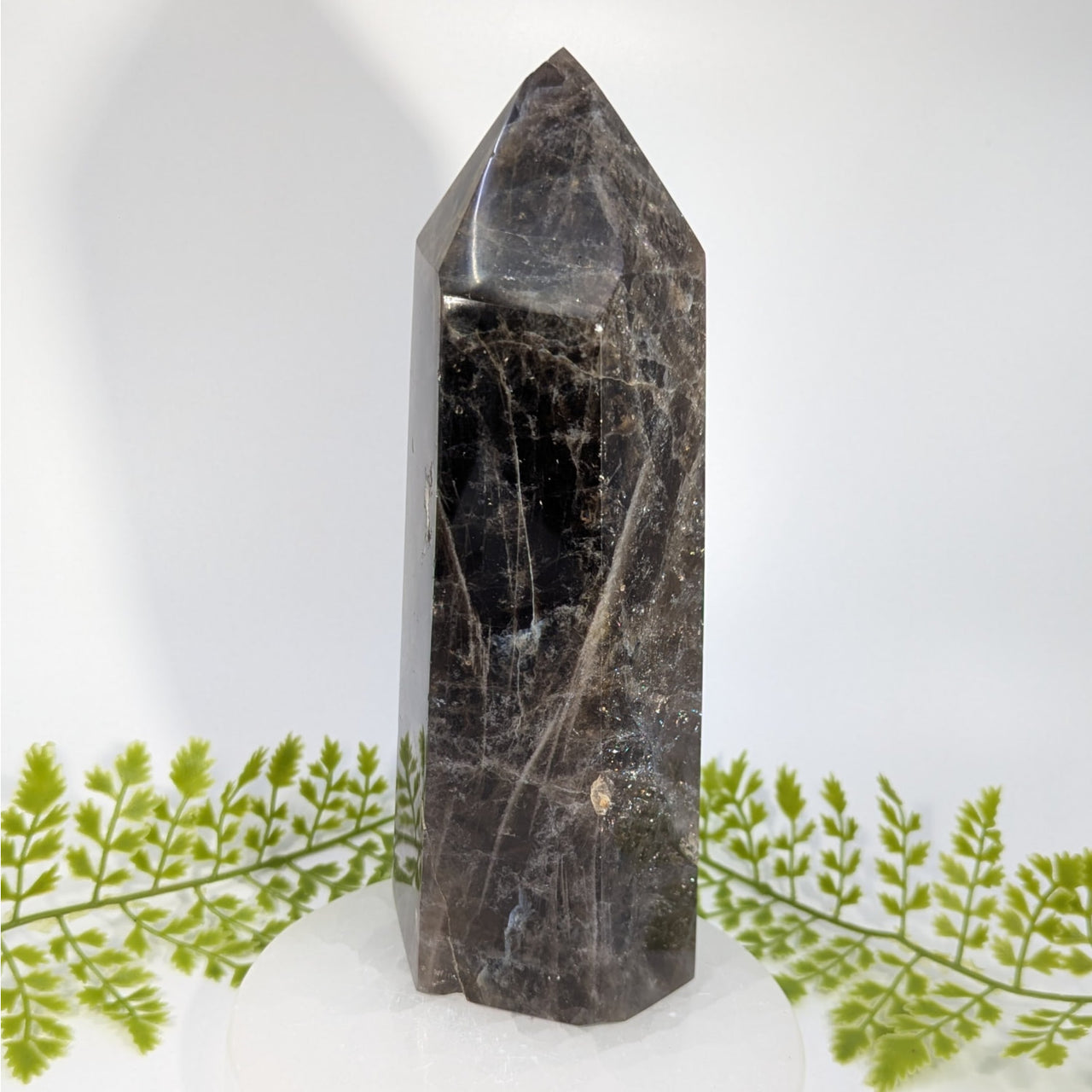 Smoky quartz 8-inch jumbo tower #BC1244 with dark translucent crystal and web inclusions