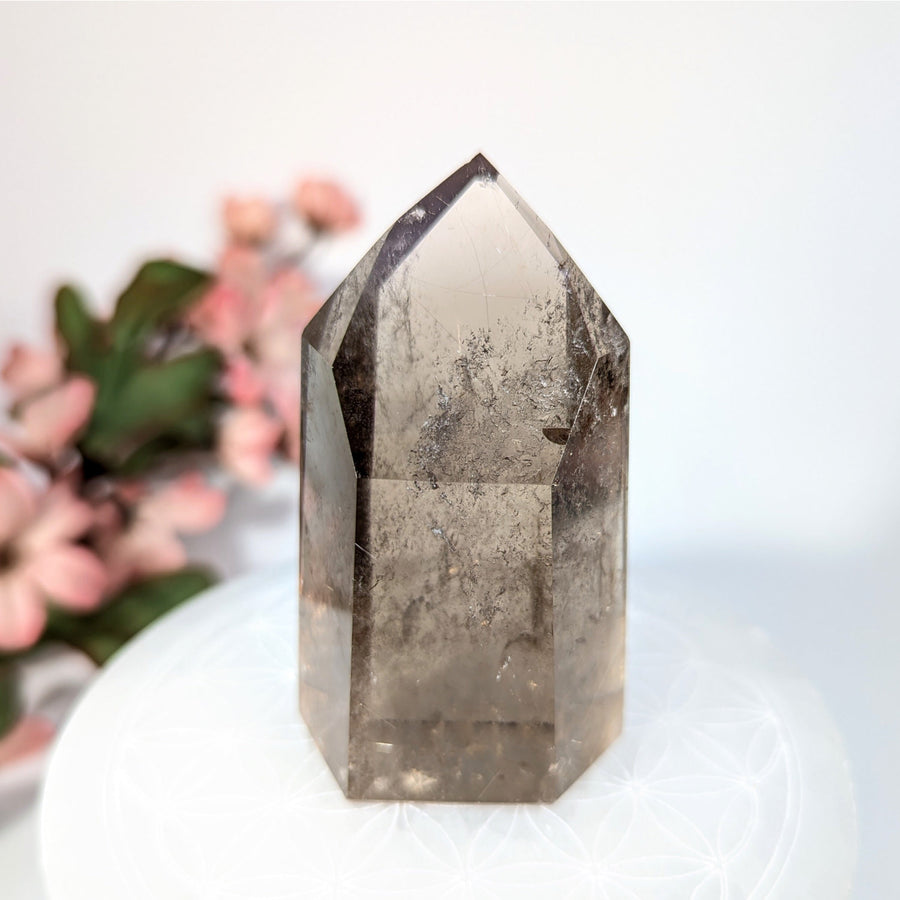 Smoky Quartz Crystal Point from Smoky Quartz Rutile 2.8 Inch Generator #LV8205