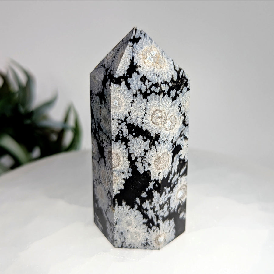 Polished Snowflake Obsidian 2.5-inch Tower displaying intricate white snowflake patterns