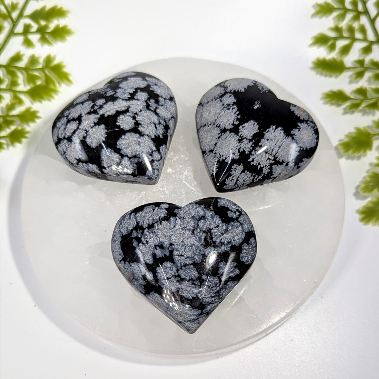 Three polished black silver snowflake obsidian 2in hearts on quartz plate BC0866