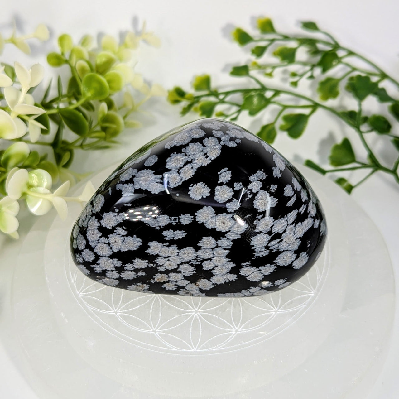 Polished black snowflake obsidian energy stone with intricate silver crystalline patterns on white surface