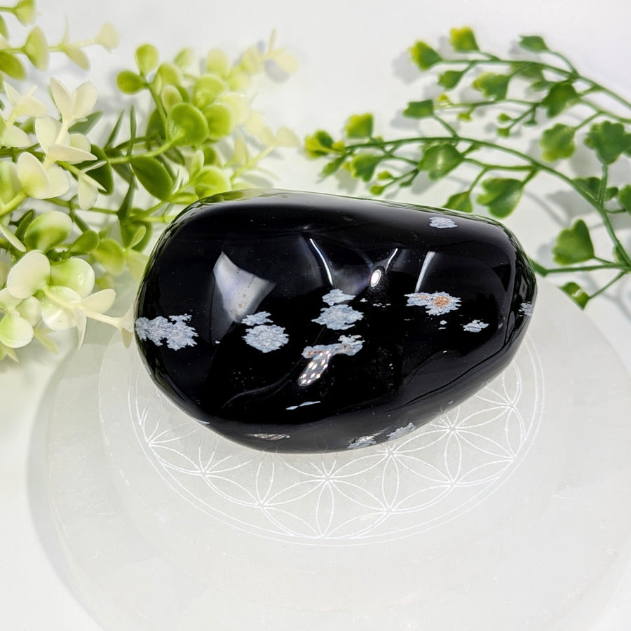 A polished black snowflake obsidian energy stone 3.3 inches with intricate white crystalline inclusions on a clear surface