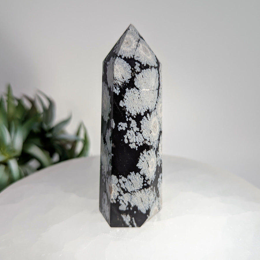 Polished Snowflake Obsidian Tower 3 inches displayed in product Snowflake Obsidian 3 Tower LV8664