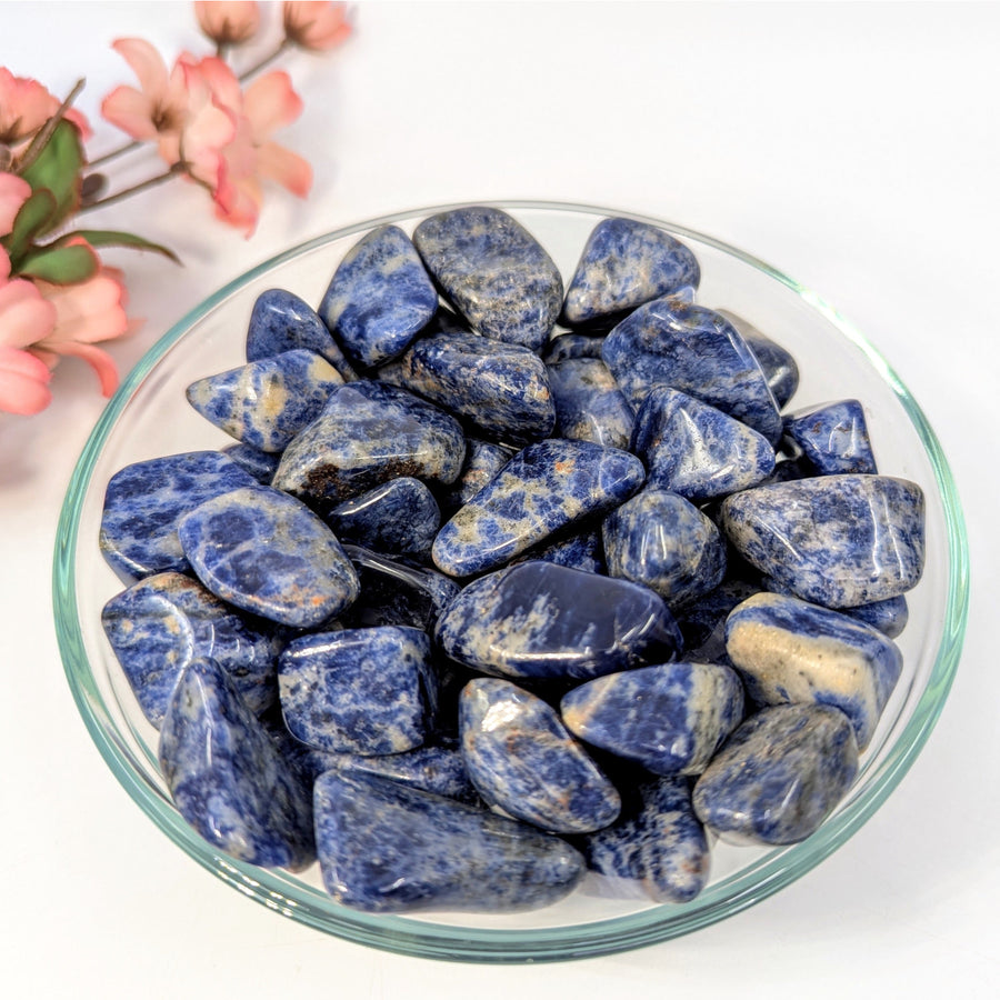 Sodalite 1-1.6’’ Tumbled Stone #LV8934 - $2.95