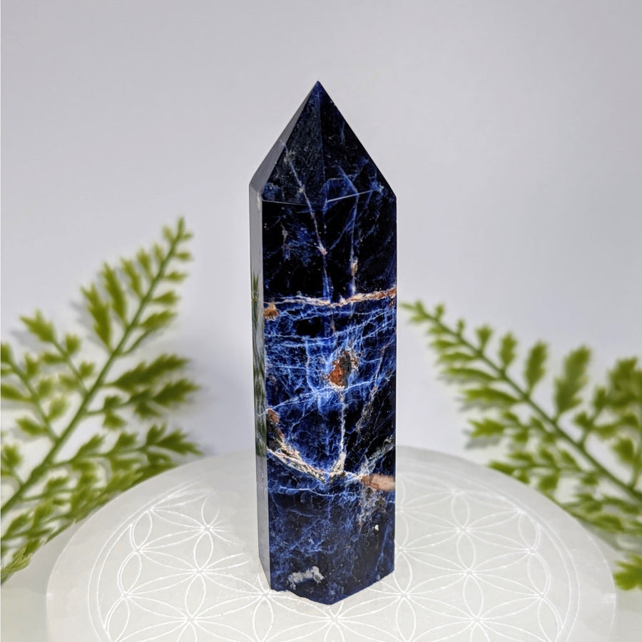 Sodalite 3.25 inch tower crystal point #BC0857 with white gold veining