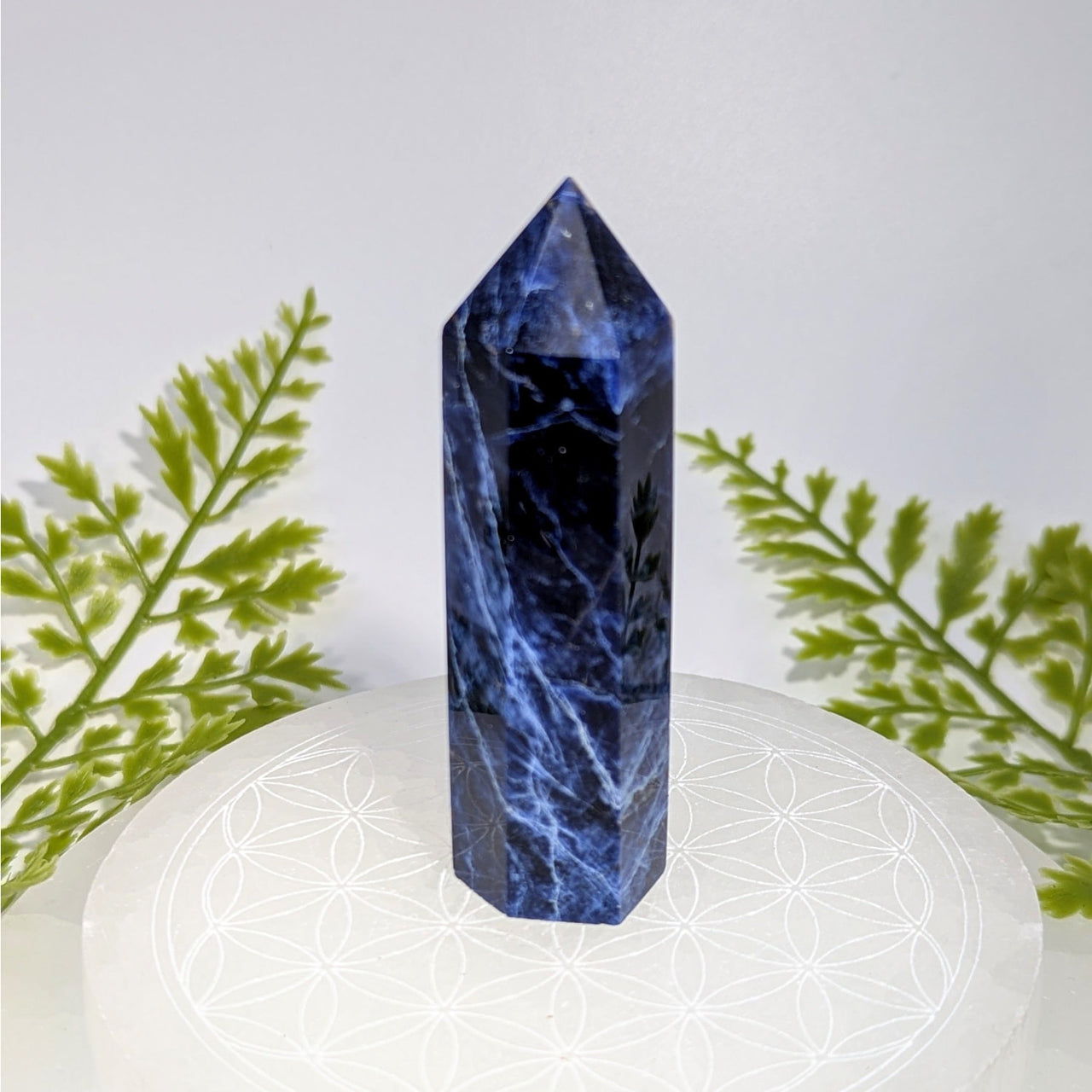 Sodalite 3 inch tower BC0856 deep blue with white veining polished
