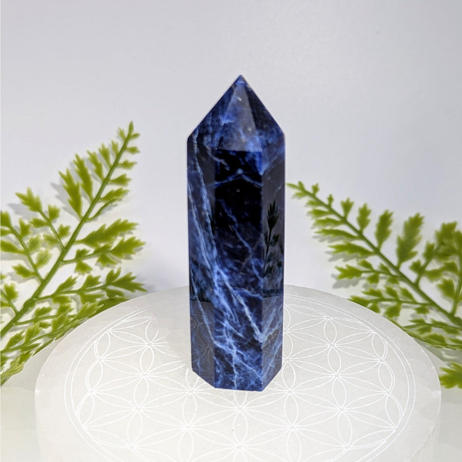 Sodalite 3 inch tower BC0856 deep blue with white veining polished