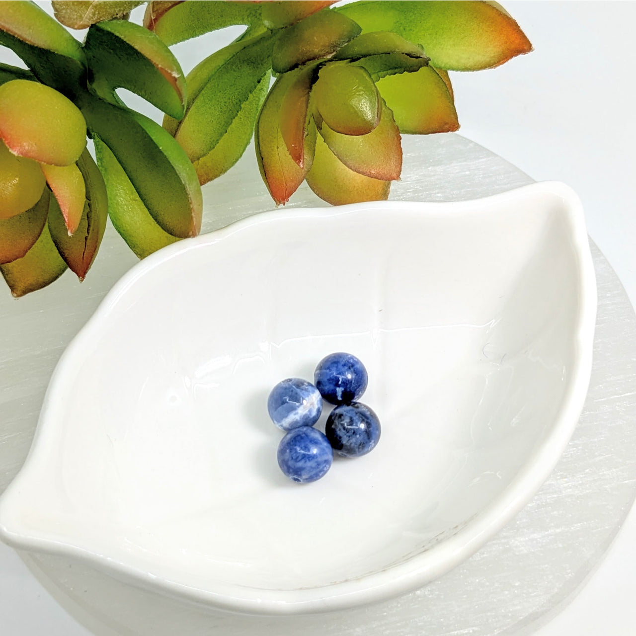 Fresh blueberries in a white ceramic bowl with Sodalite 9mm round beads