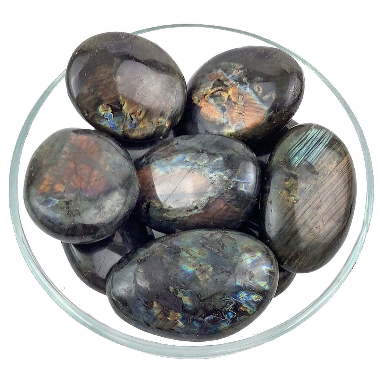 Spectrolite Labradorite Palm Small #SK1369 - $14