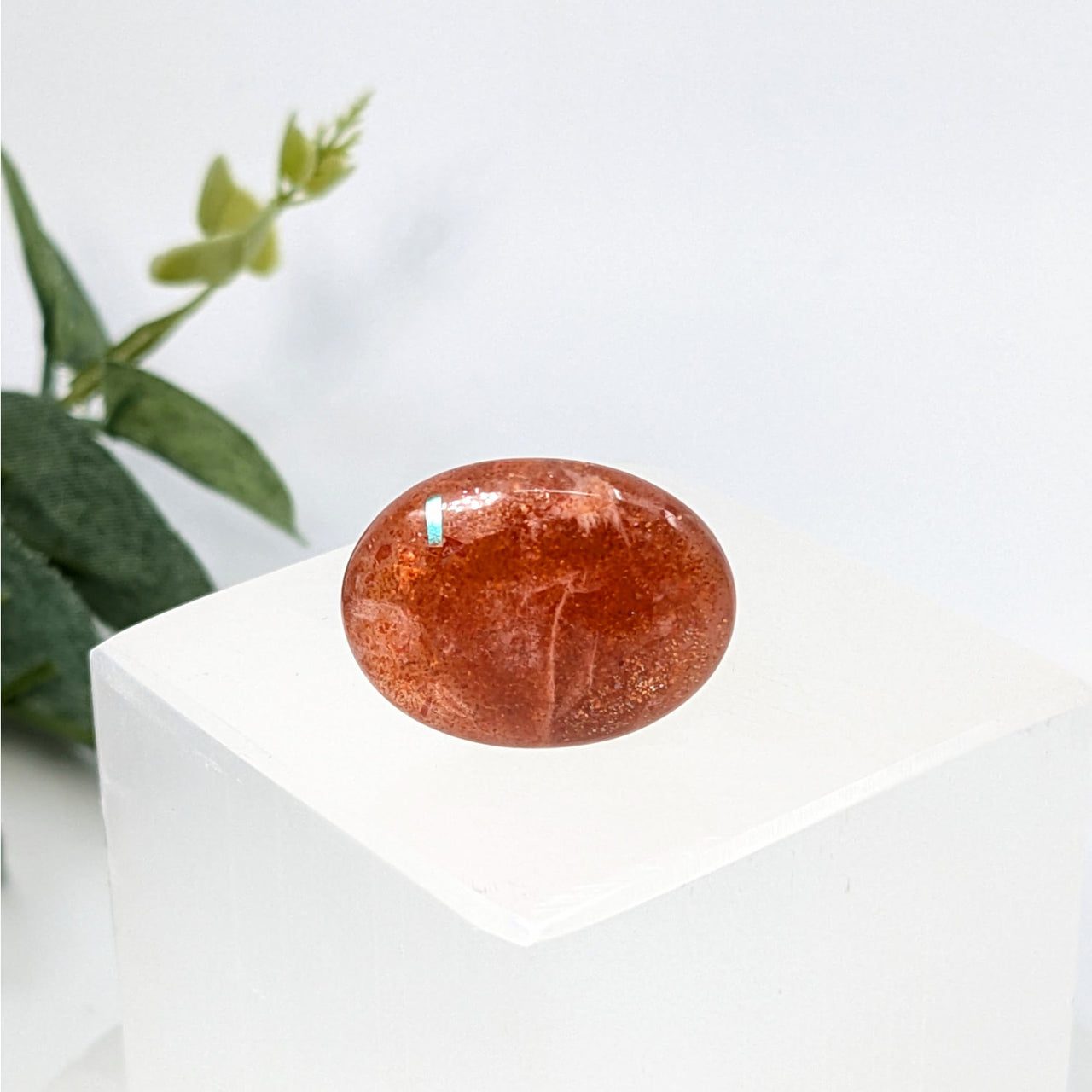 Sunstone.9’’ Mini Palm #LV6111 - $44