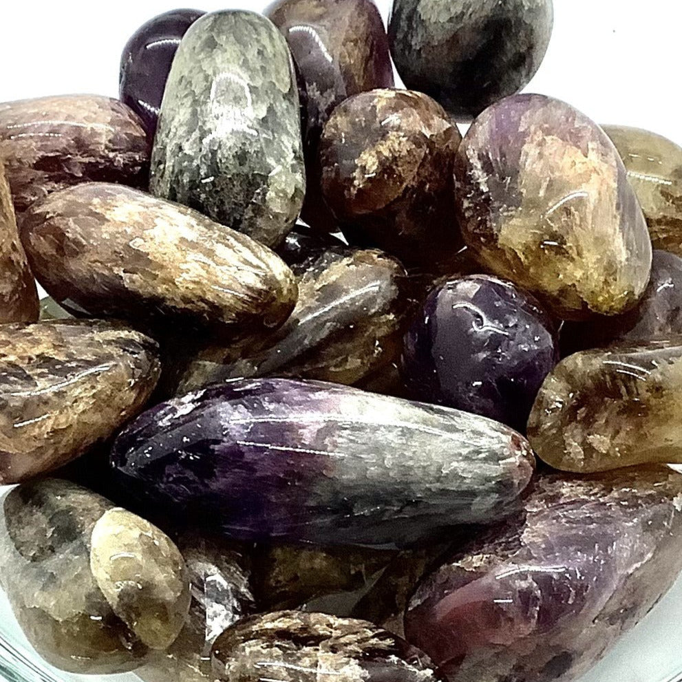 Polished Amethyst and Smoky Quartz Tumbled Stones for item tier benefits in Super 7 Tumbled T423