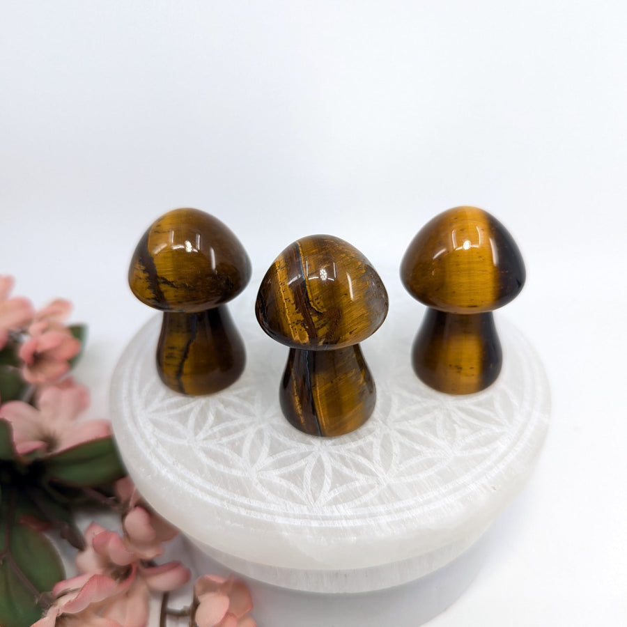 Three tiger’s eye holds mushroom carvings showcasing fierce strength and sharp vision
