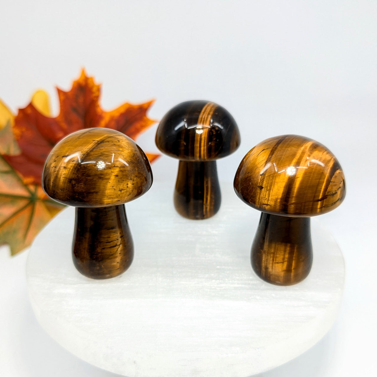 Tiger’s Eye 1.9’’ Mushroom #LV6247 - $19