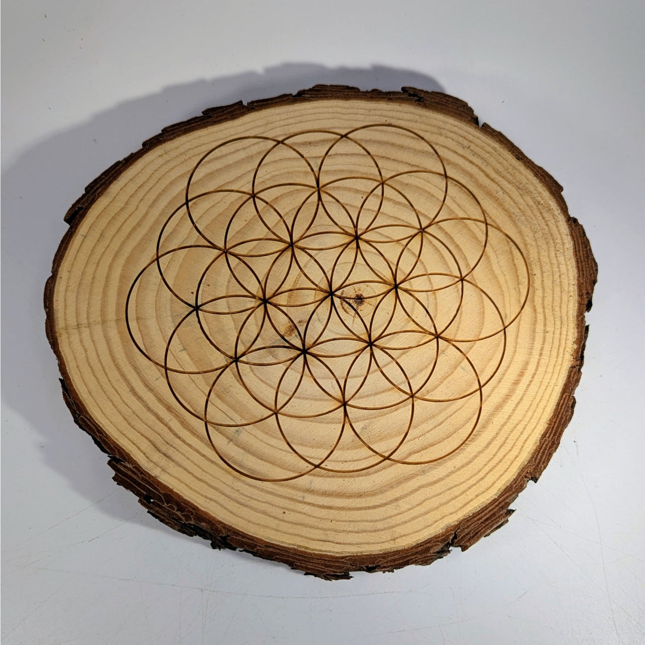 6.5-inch Tree Trunk Wood Grid #K202 with laser-etched Flower of Life
