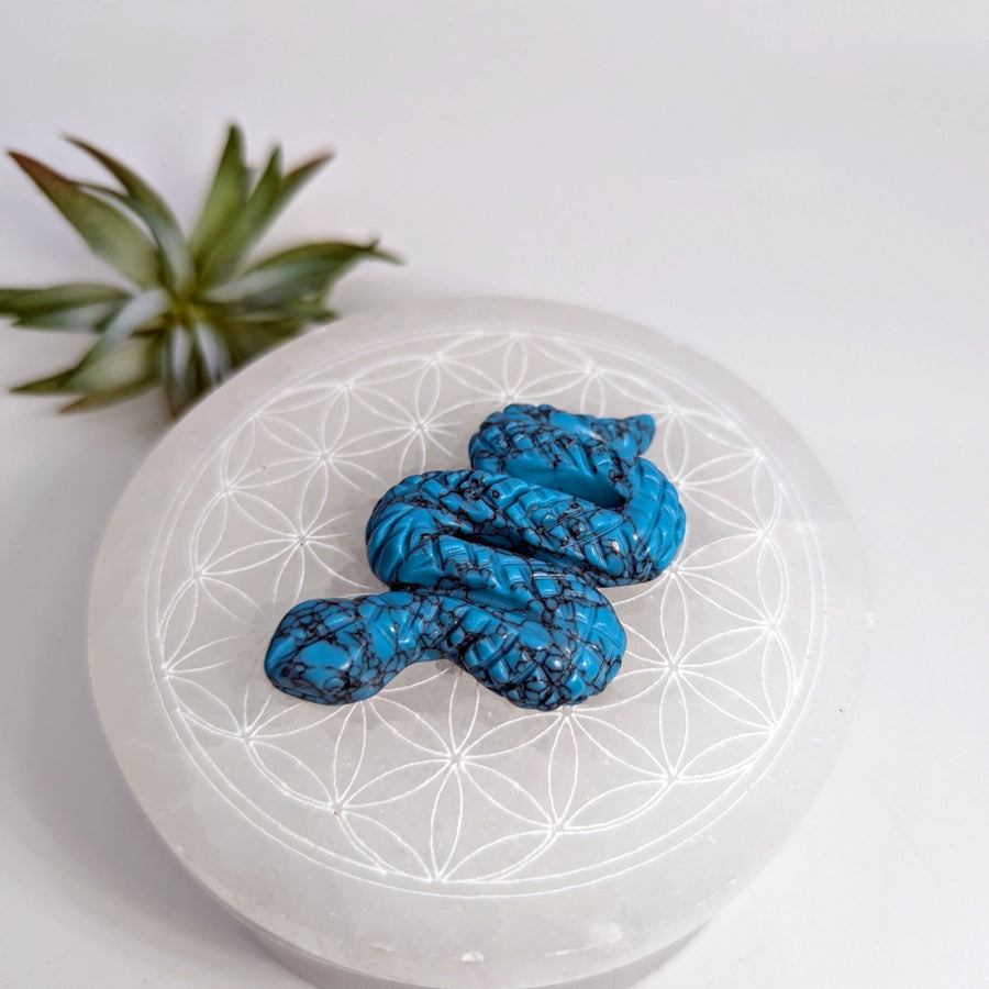 Turquoise carved snake figurine for Turquenite 2.5 inches Snake Carving #LV7728