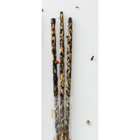 Vanilla Smudge Incense Sticks in a plastic pouch with four sticks visible