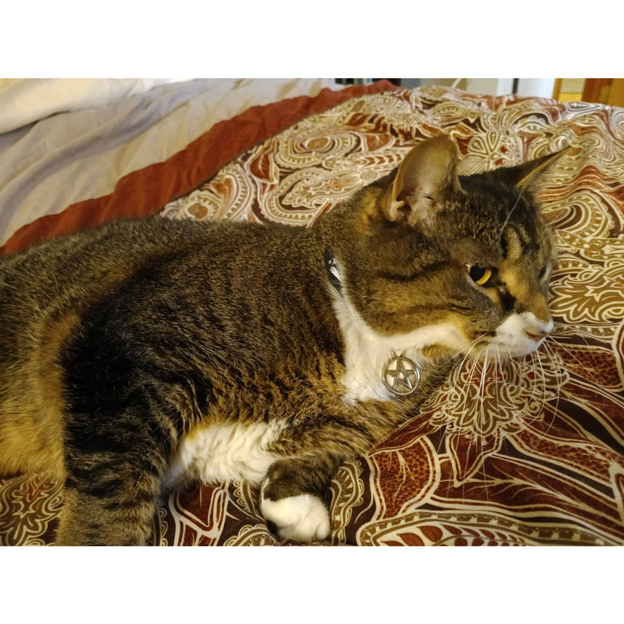 Vegan Leather Cat/Dog Collar Evil Eye w/ Fatima Hand #11003