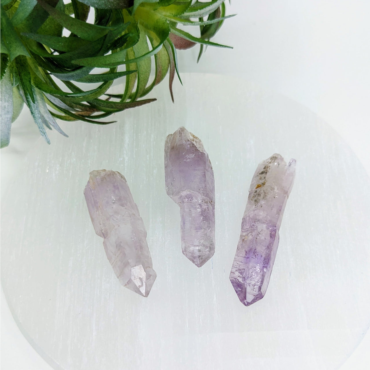 Veracruz Amethyst LG Point #LV3374: Three beautiful amethyst crystals on a white surface