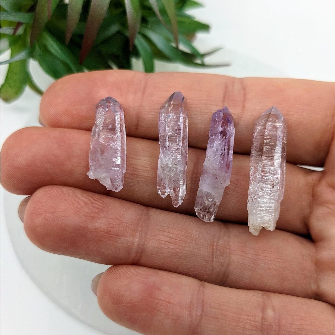 Veracruz Amethyst .75 - 1’ Mini Points #LV3372 - Three Amethyst Quartz Points