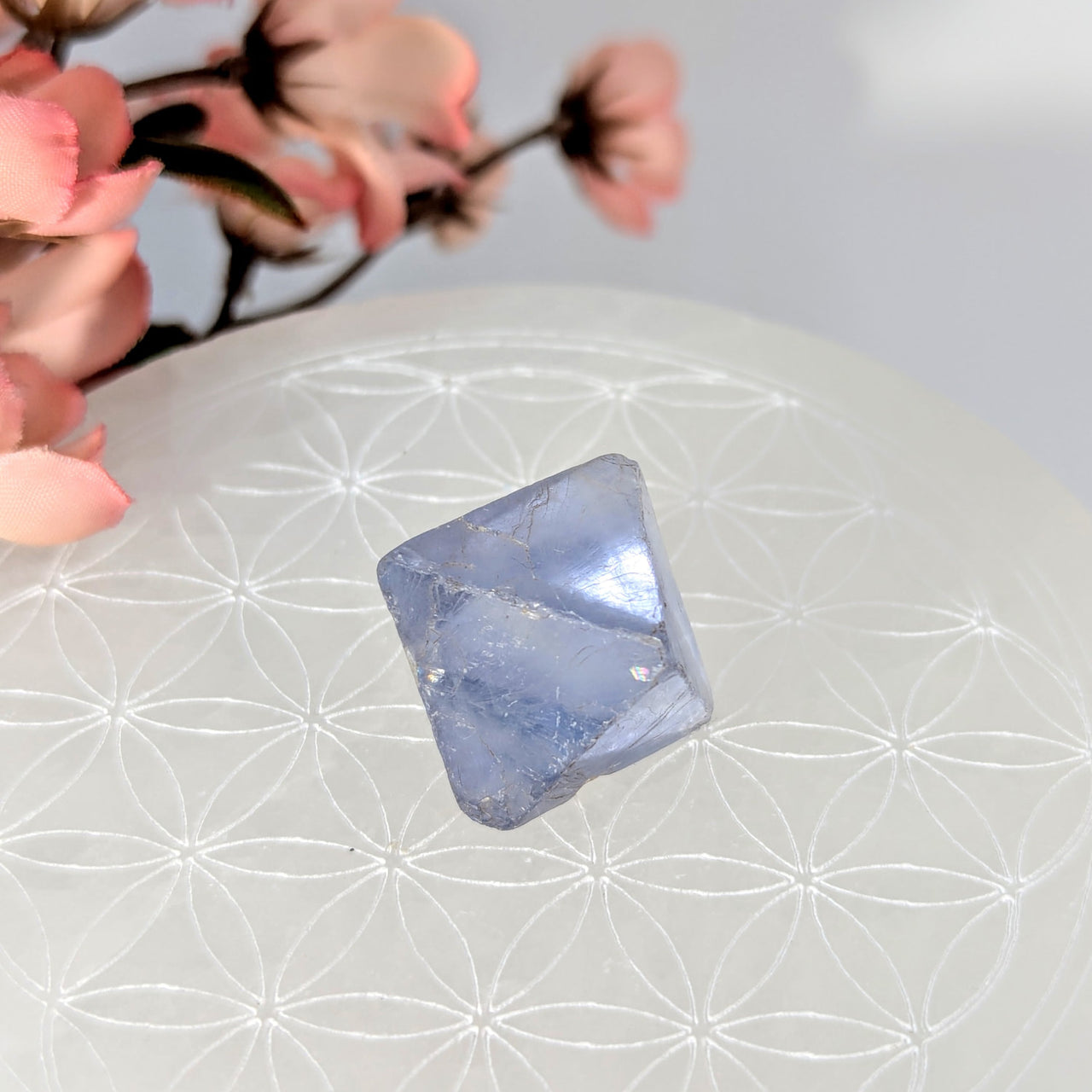 Translucent blue fluorite crystal in Violet Purple Fluorite 1-inch Gem Octahedron form