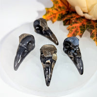 Volcanic Agate 2’’ Raven Skull Carving #BC0024 - $35