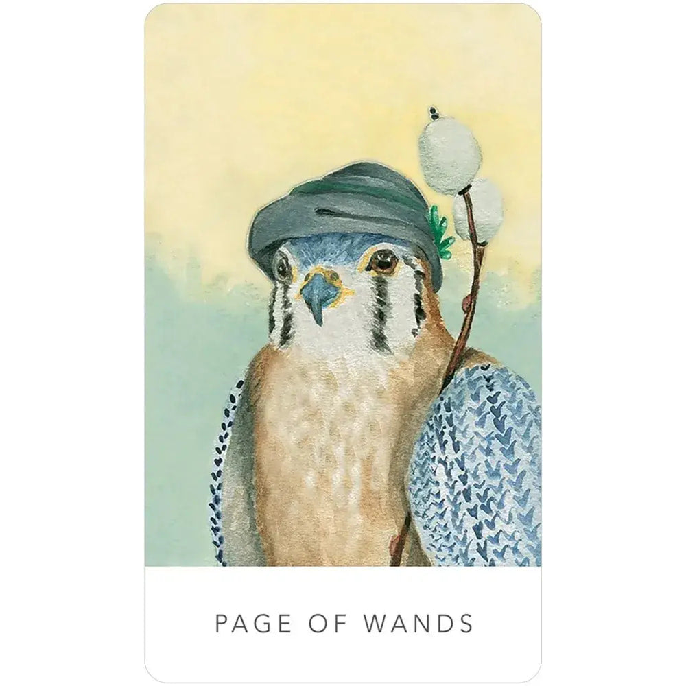 A vibrant bird with a hat and flower in the White Sage Tarot #WST80 set