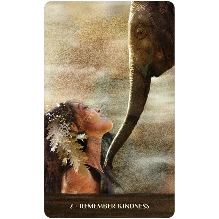 Tender moment between an elephant and a person in the Wild Woman Rising Oracle Deck