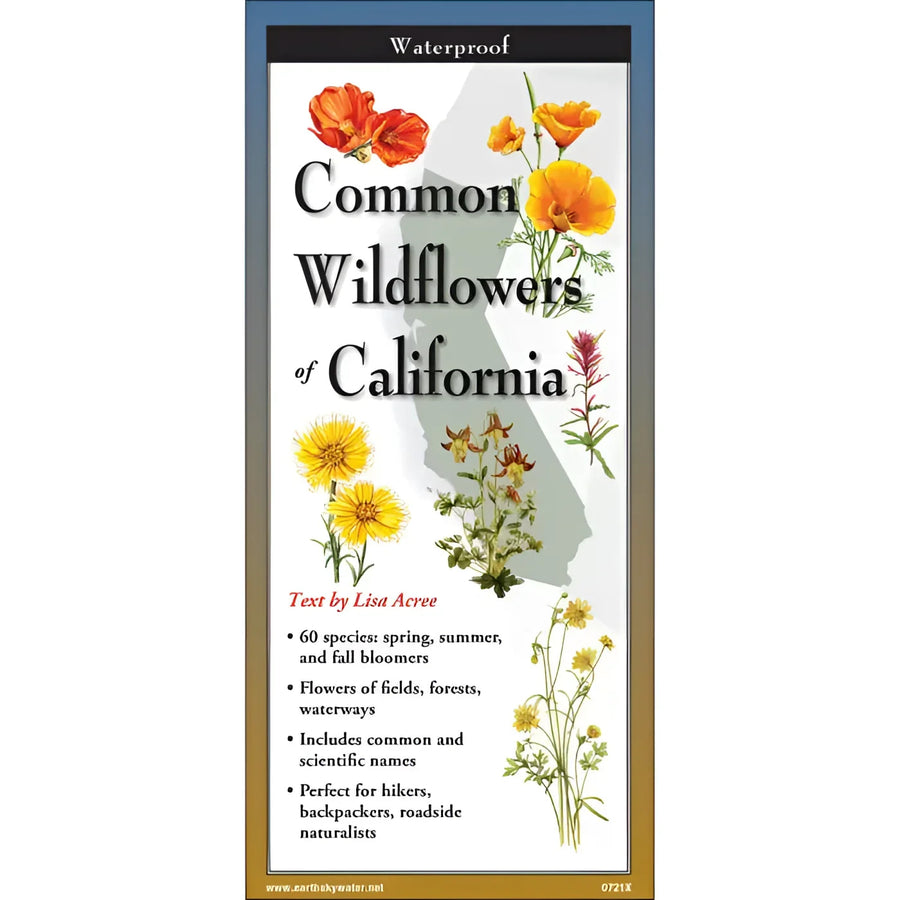 Book cover for ’Common Wildflowers California’ from the ’Wildflowers of California Field Guide #LV3701