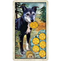 Wise Dog Tarot #LV9576: Black and white dog with golden pentagram coin in mouth beside six on ground