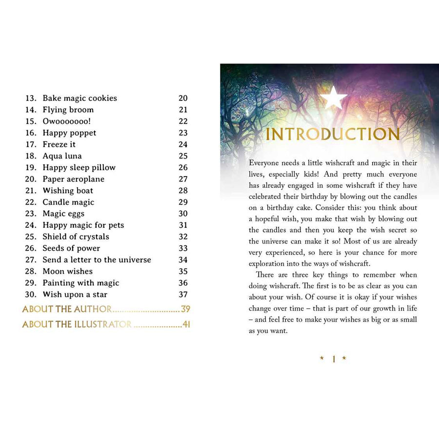 Wishcraft Oracle Deck by Stacey Demarco #LV3690